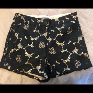 Express Dress Shorts